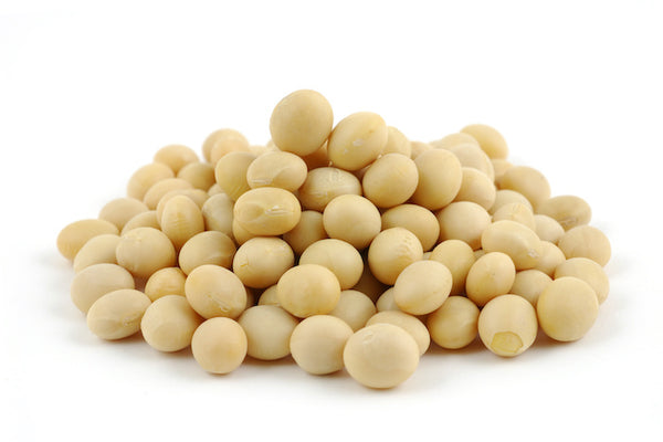 Best Plant Protein: Pile of Soy Beans 