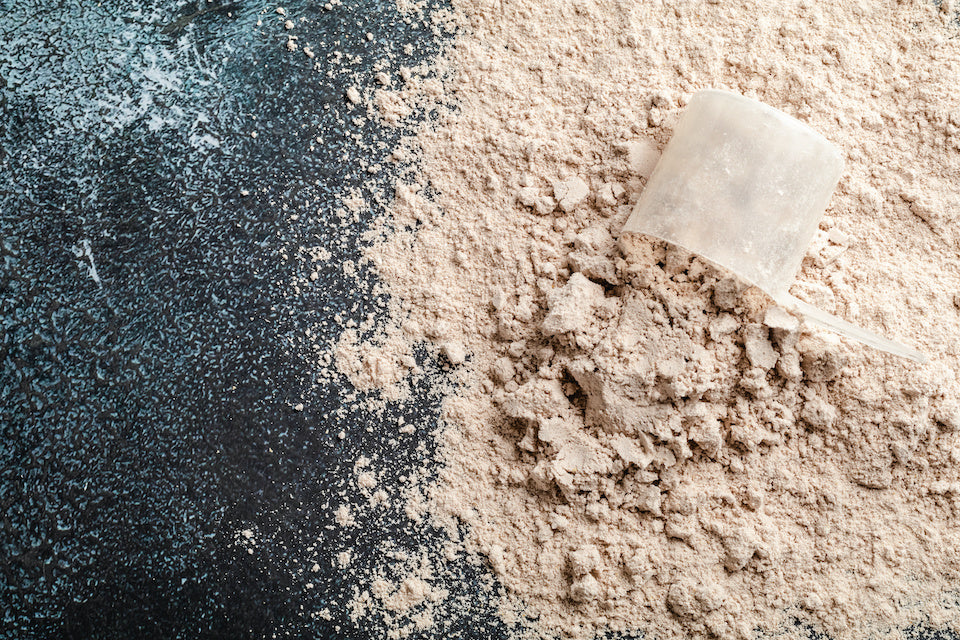 Best Protein Powder for Muscle Gain 