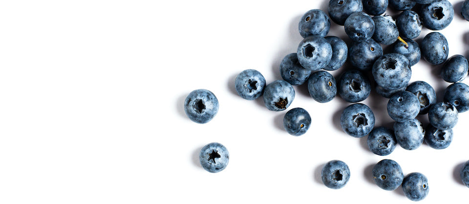 Blueberry Benefits 