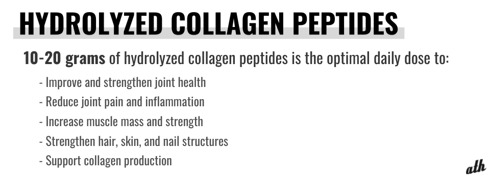 Collagen Protein vs Whey Protein - Hydrolyzed Collagen Peptides ATH Sport