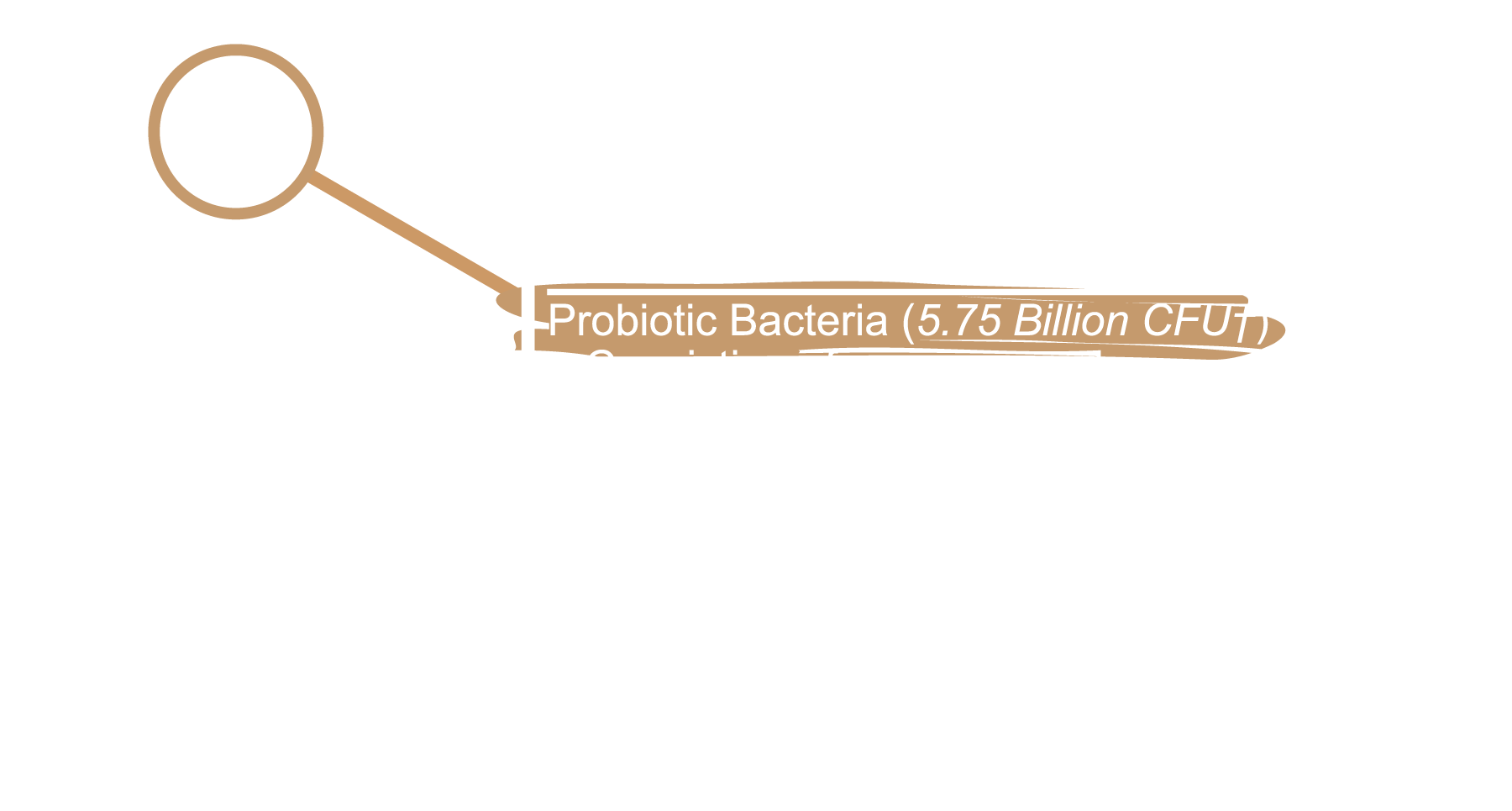 Supplement Facts Panel