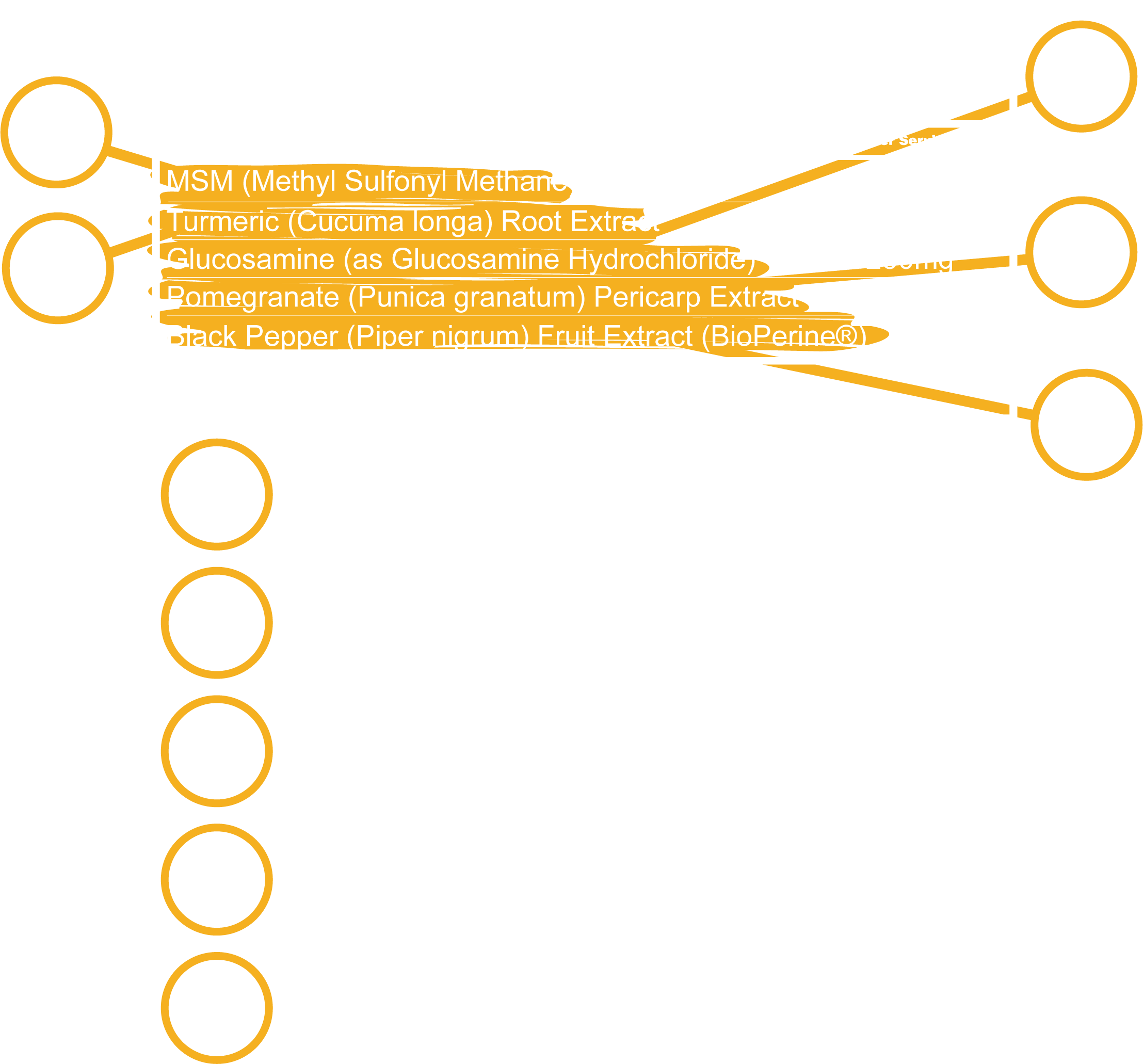 Supplement Facts Panel