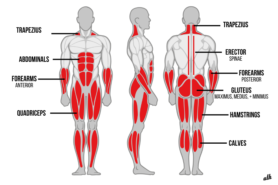 Kettlebell Deadlift Target Muscles 