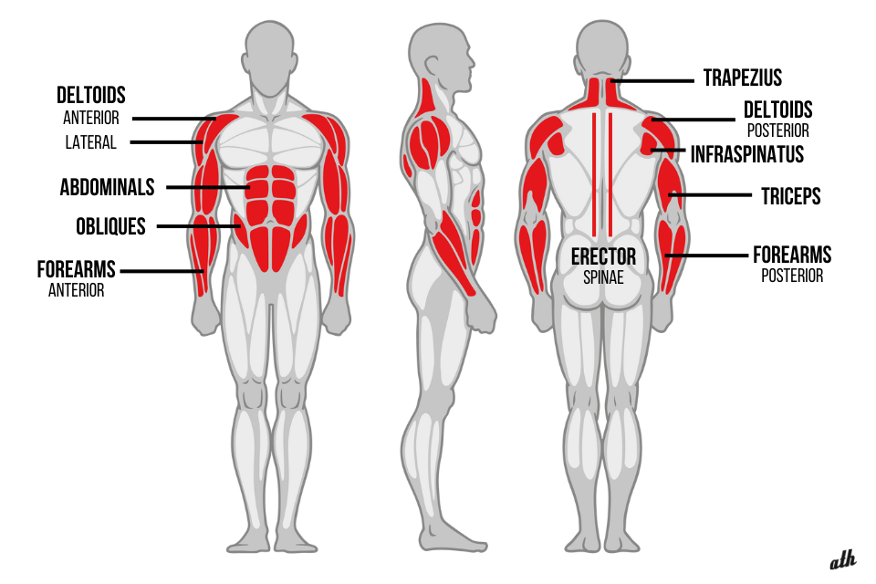 Kettlebell Halo Muscles Worked 