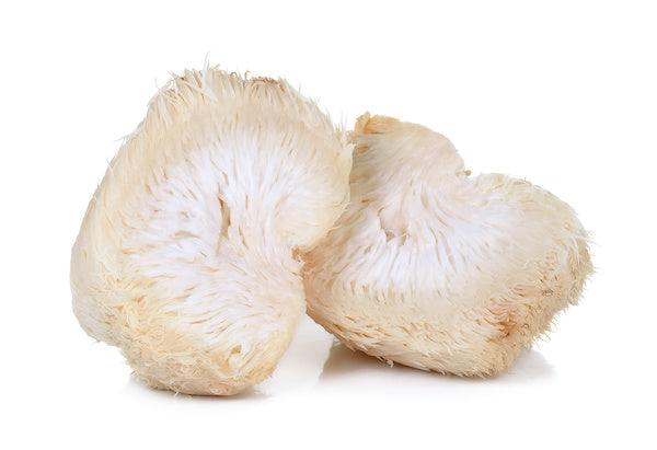 Foods that Boost Immune System - Lion's Mane 