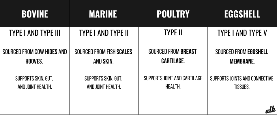 Liquid Collagen vs Powder - Sources of Collagen 