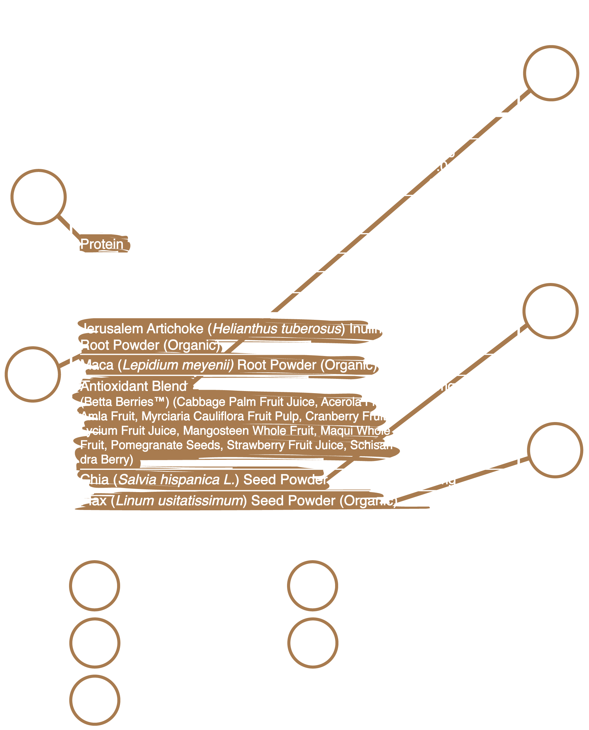 Supplement Facts Panel