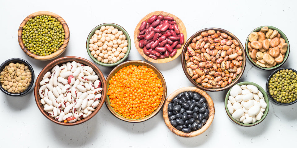 Plant Based Protein Sources - Beans 