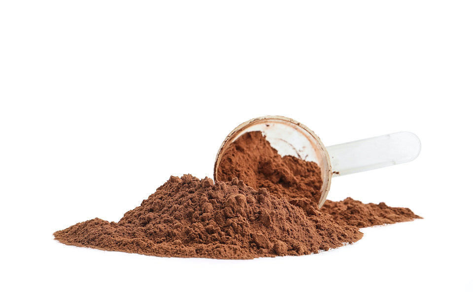 Whey Protein for Women - Cocoa Protein Scoop