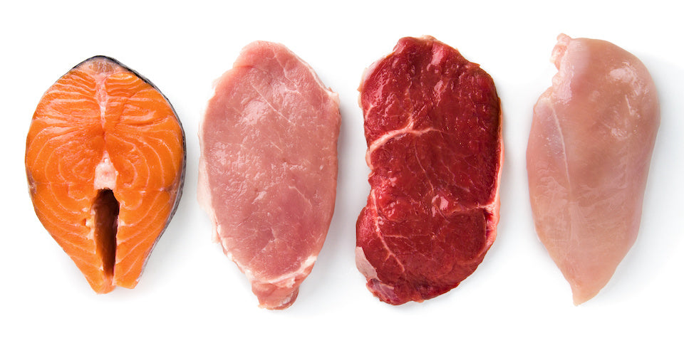Why High Protein Diets Work 