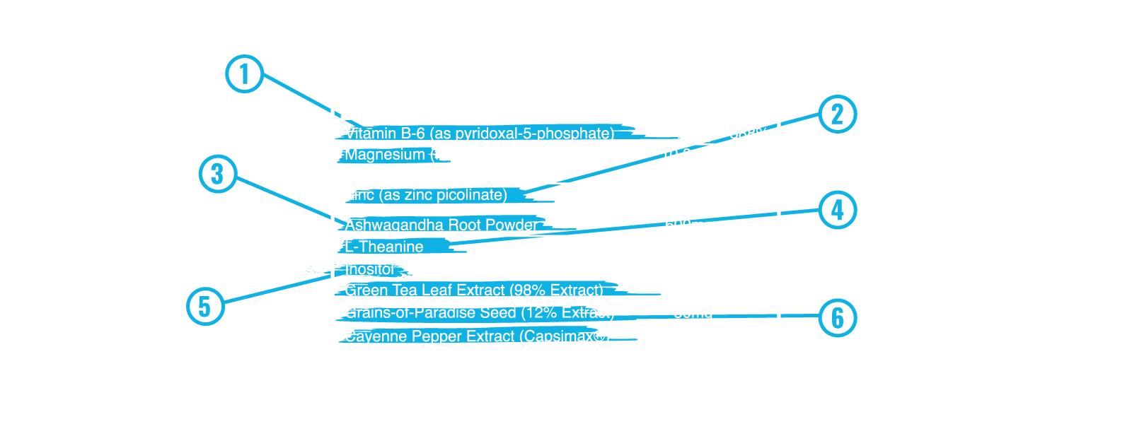 Supplement Facts Panel