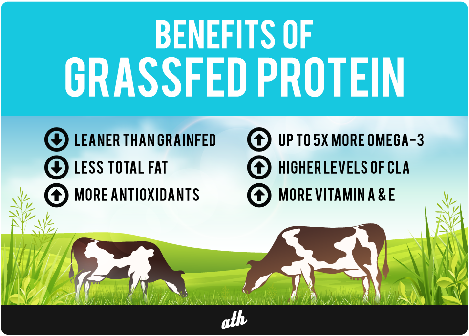 Grassfed Protein vs Grainfed Protein 