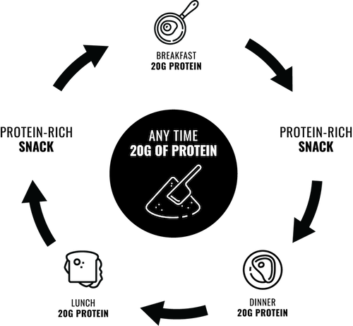 how much protein can your body absorb 