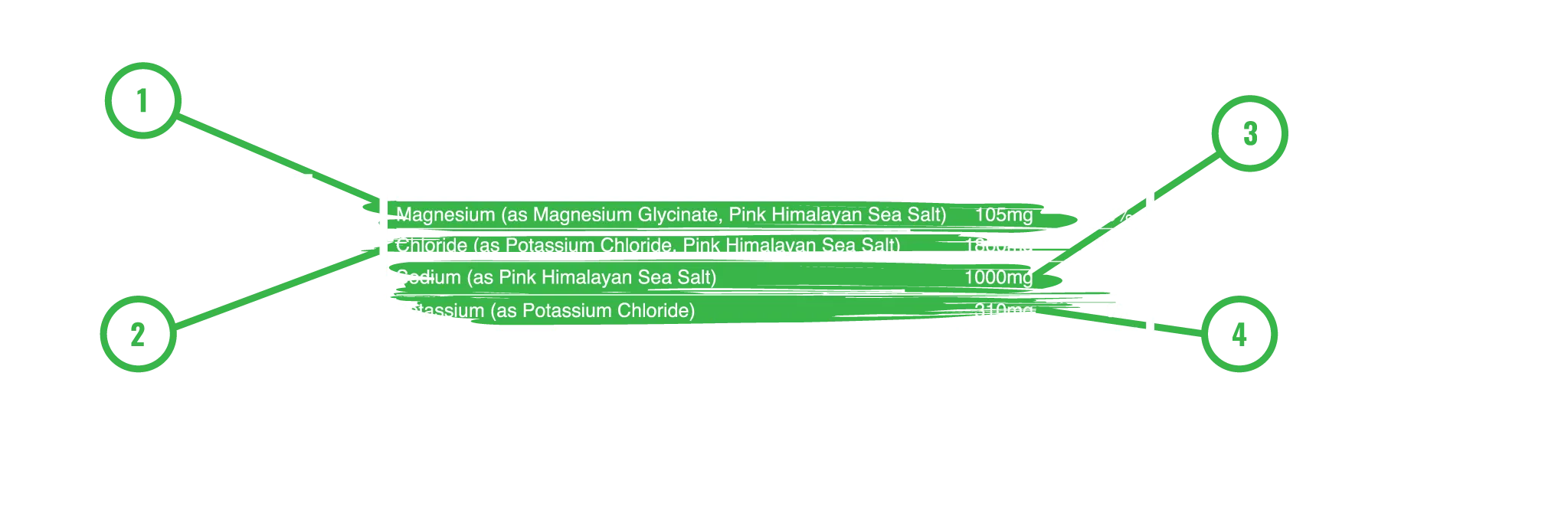 Supplement Facts Panel