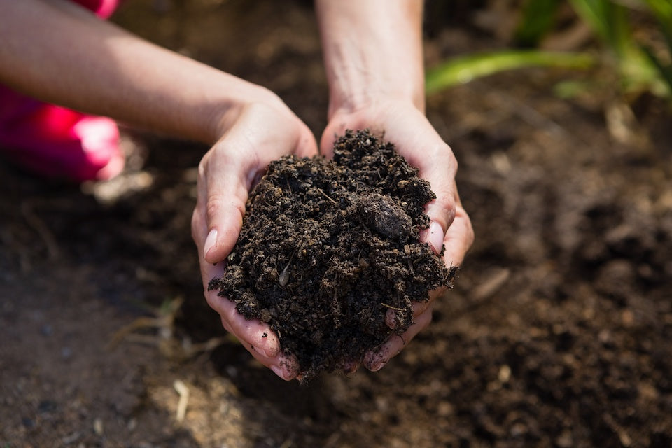 Signs Probiotics Are Working - Soil Based Organisms