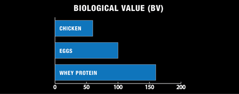 Biological Value