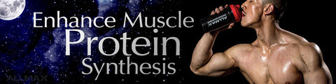 Boost Protein Synthesis and Enhance Muscle Retention