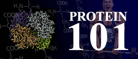 protein-101