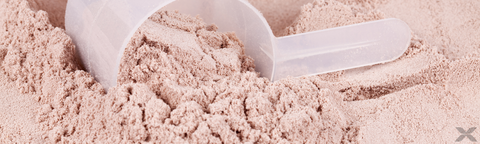 protein powder