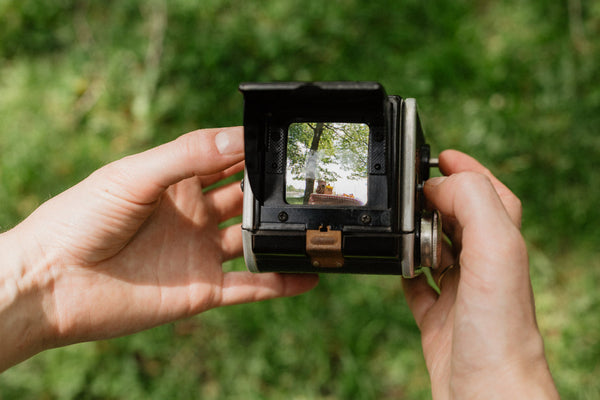 cámara de cine en el bosque
