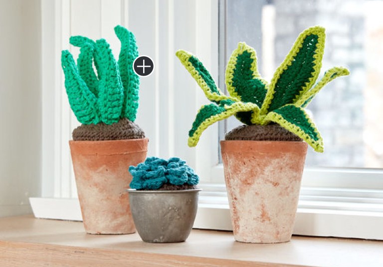 Easy Crochet Succulents