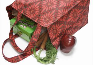 Reusable Grocery Bag