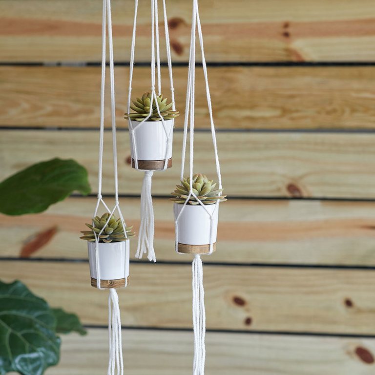 Beginner Knotted Plant Hangers