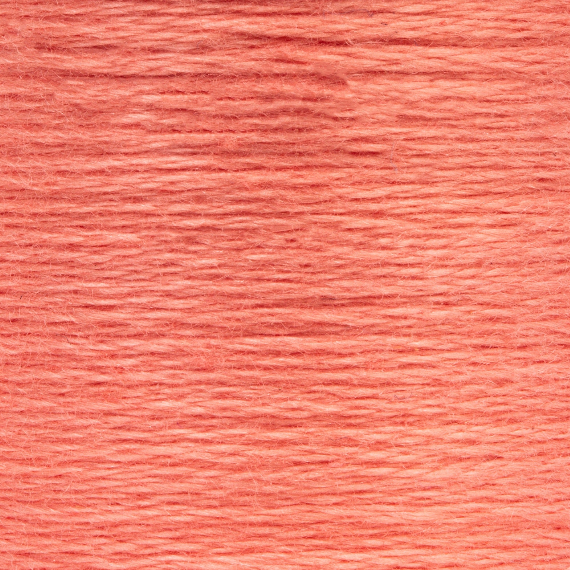 Anchor Embroidery Floss in Salmon Med Lt