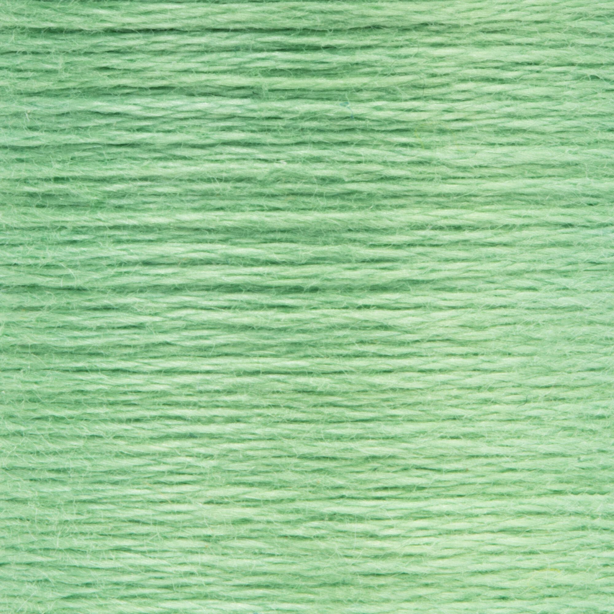 Anchor Embroidery Floss in Grass Green