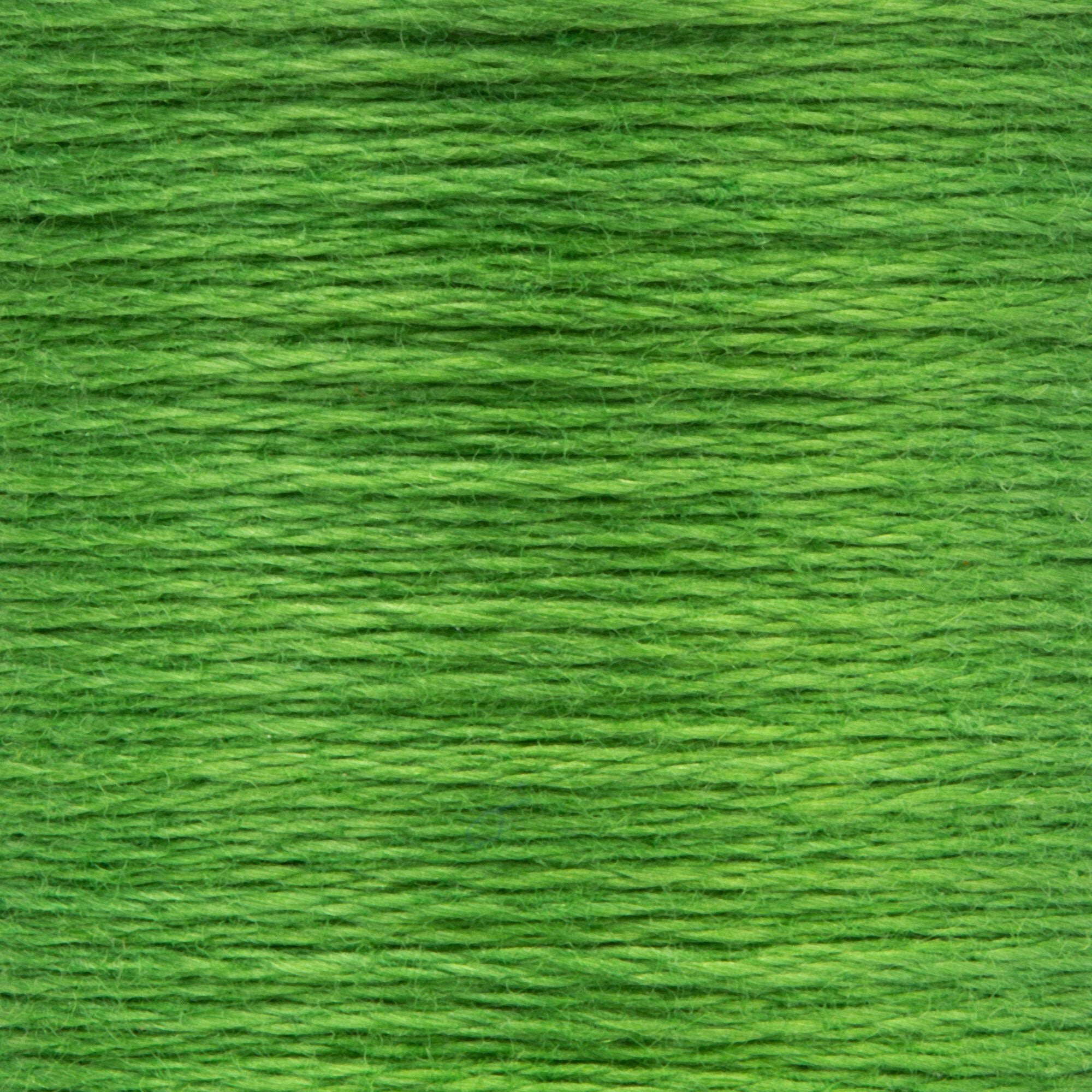 Anchor Embroidery Floss in Parrot Green Med Dk