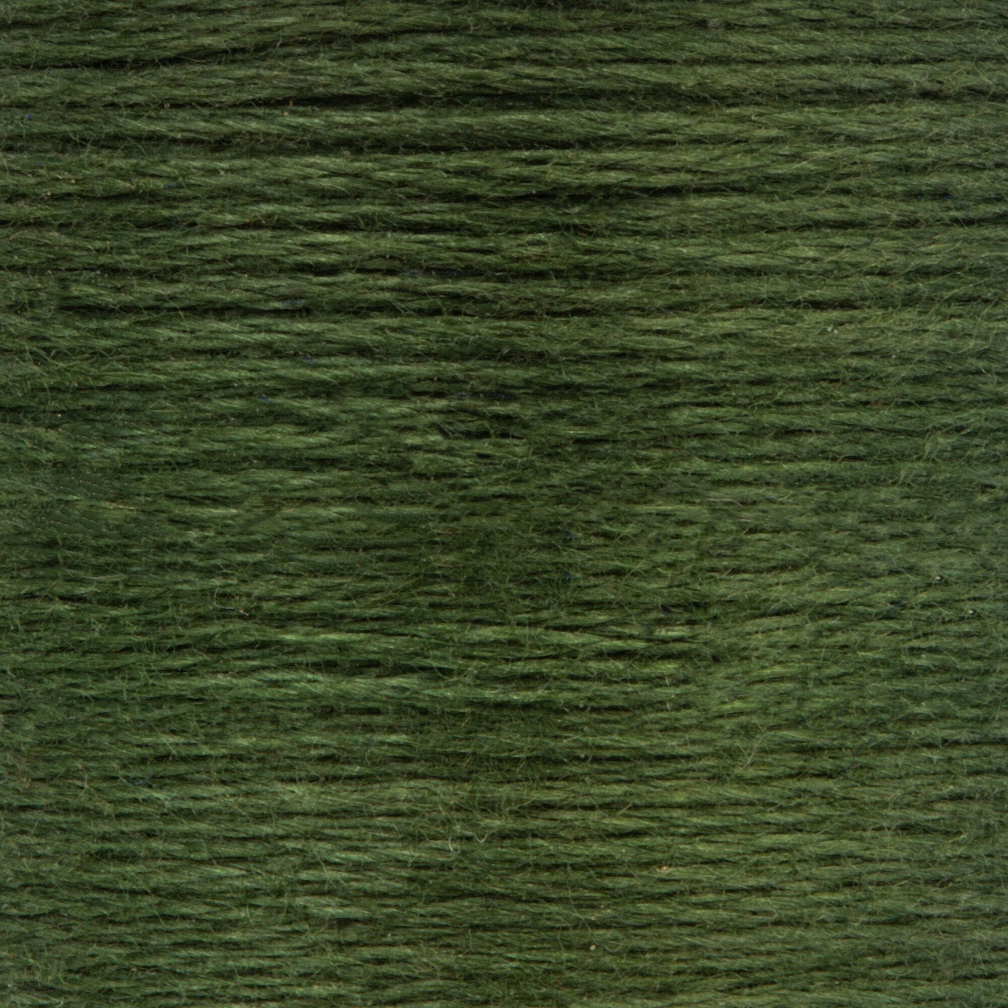 Anchor Embroidery Floss in Loden Green Dk