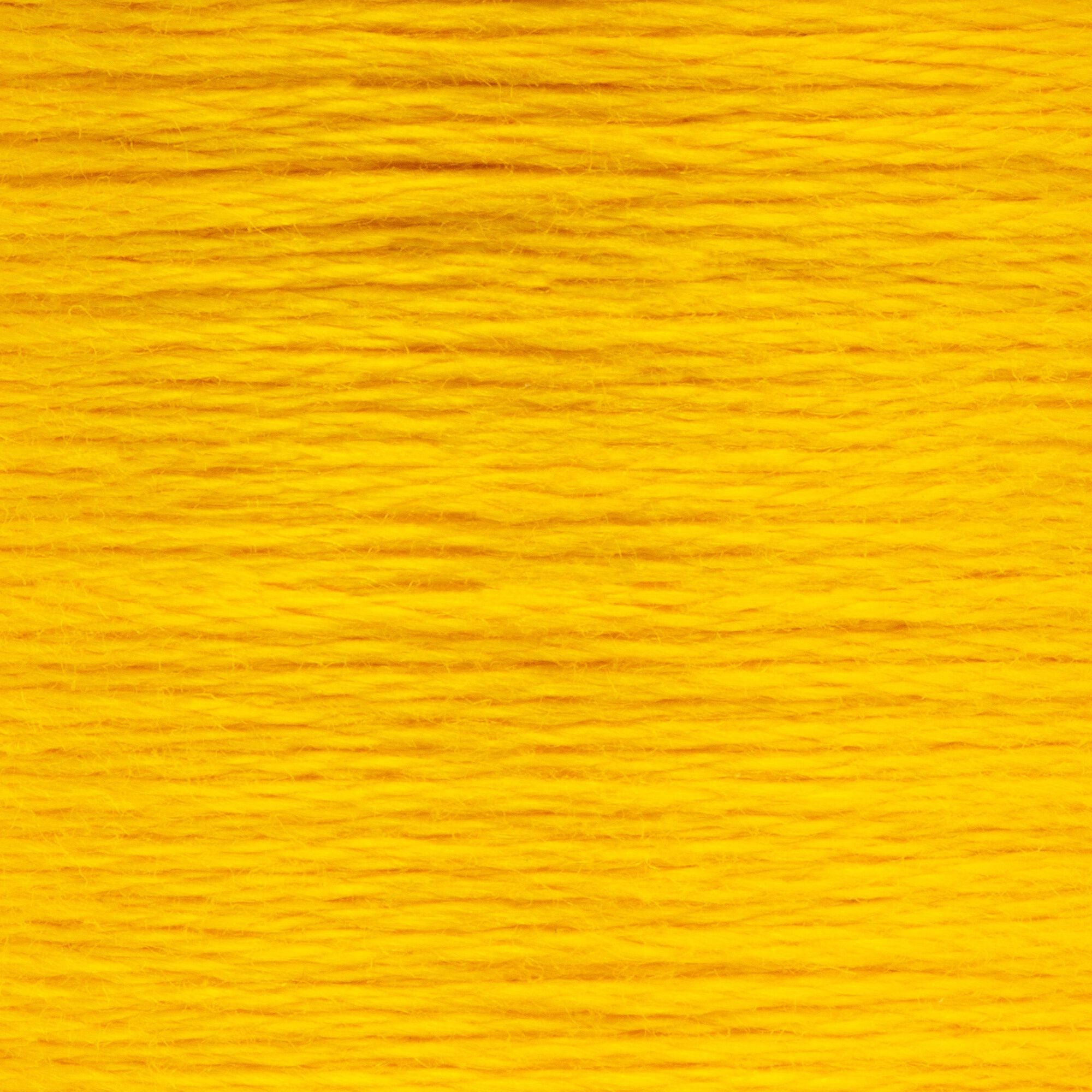 Anchor Embroidery Floss in Canary Yellow Dk