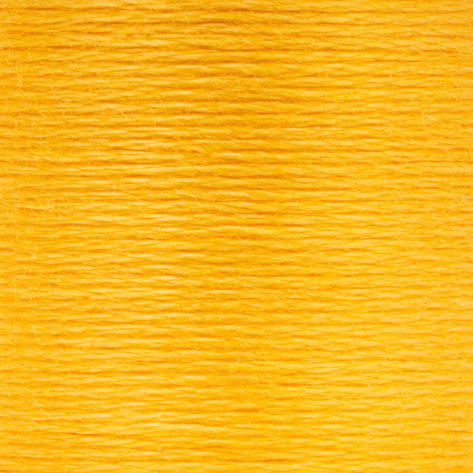 Anchor Embroidery Floss in Citrus Med Lt