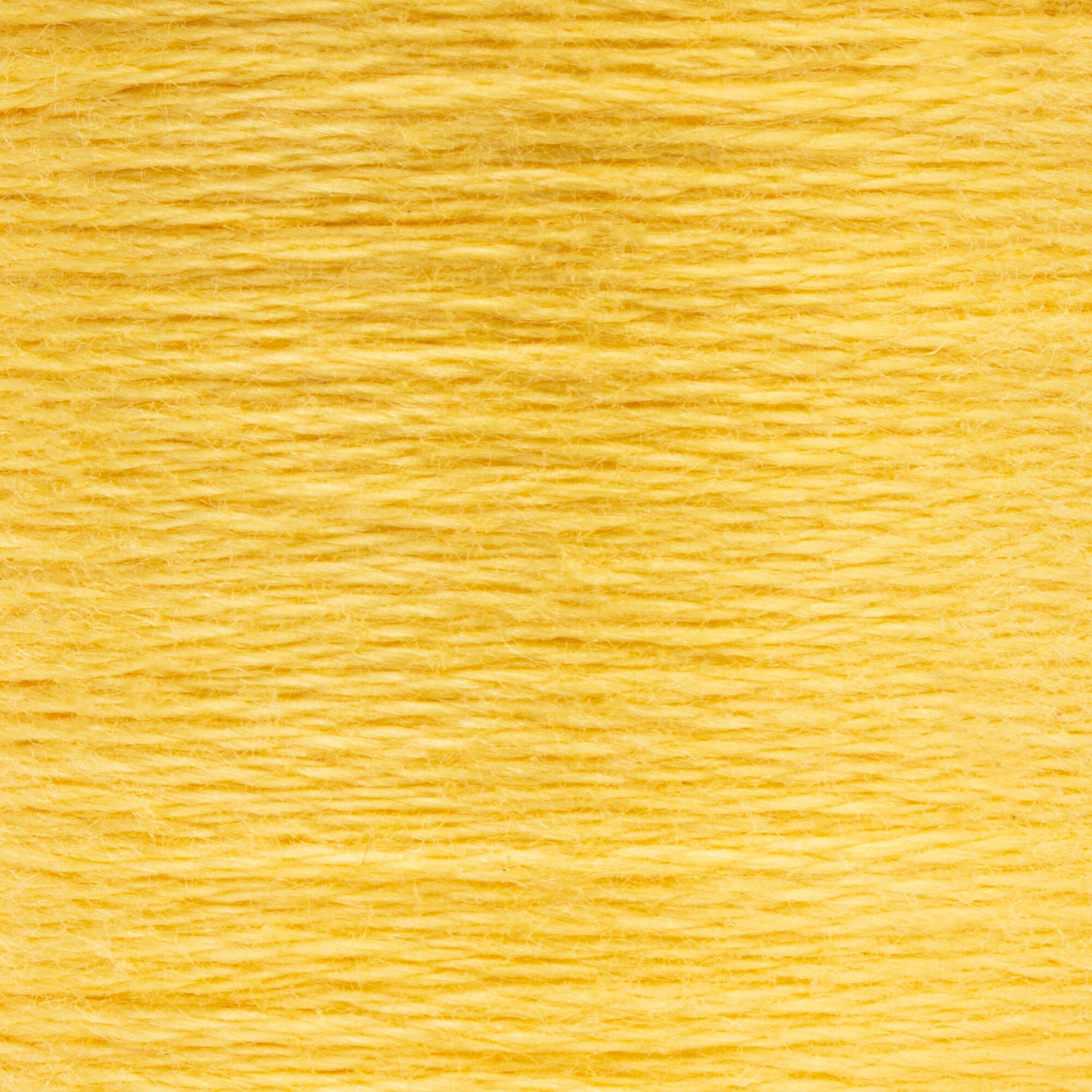 Anchor Embroidery Floss in Topaz Lt