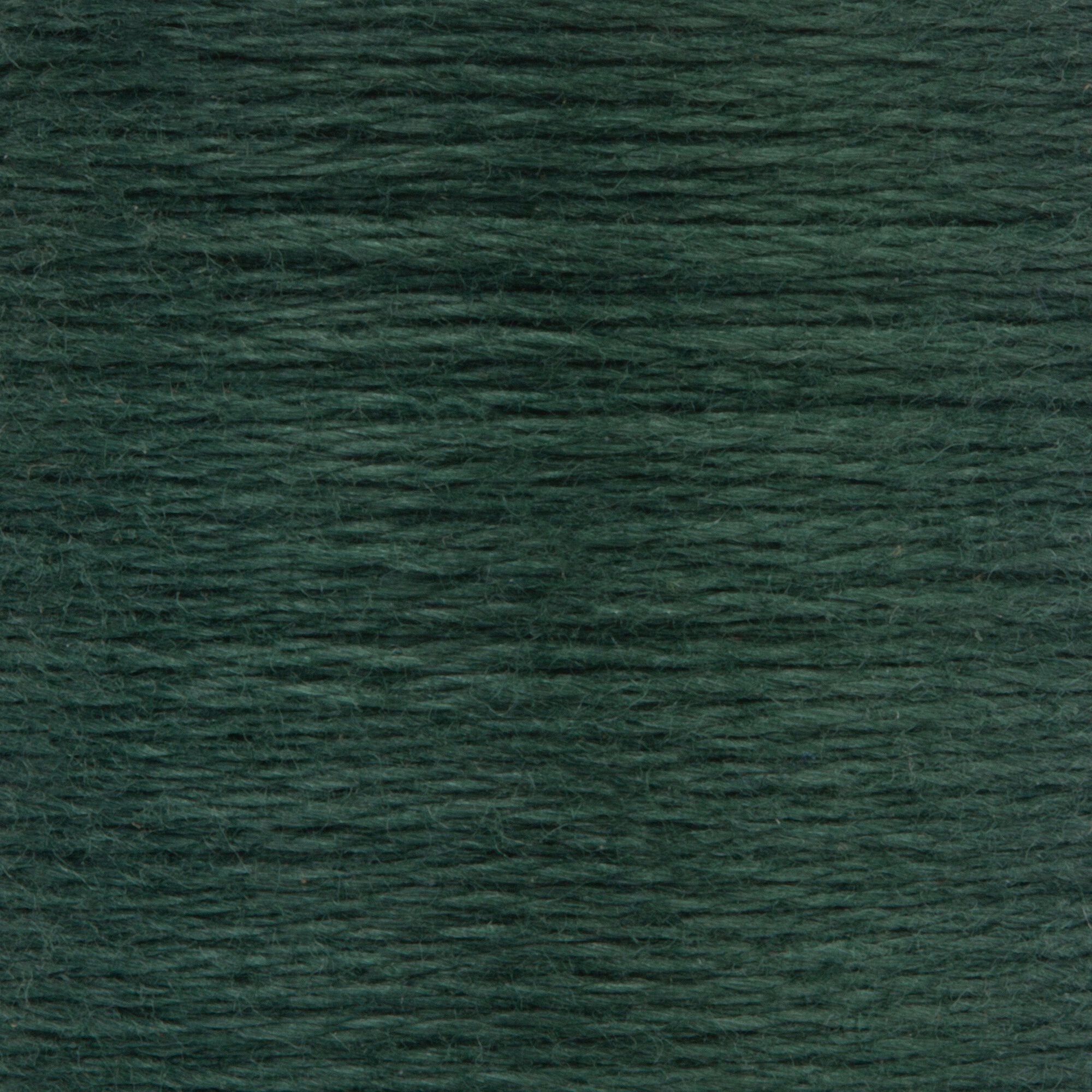 Anchor Embroidery Floss in Turf Green