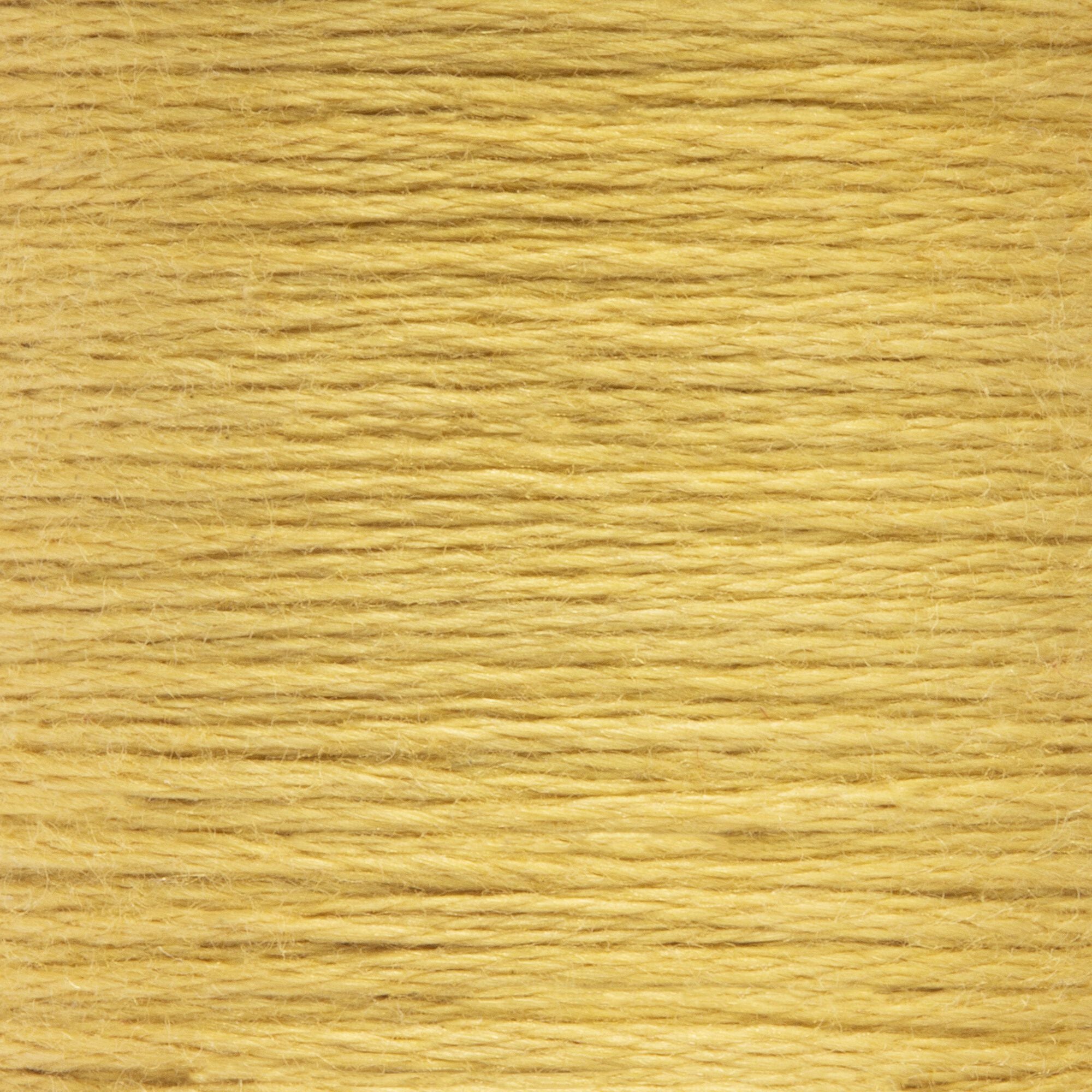Anchor Embroidery Floss in Saffron Med