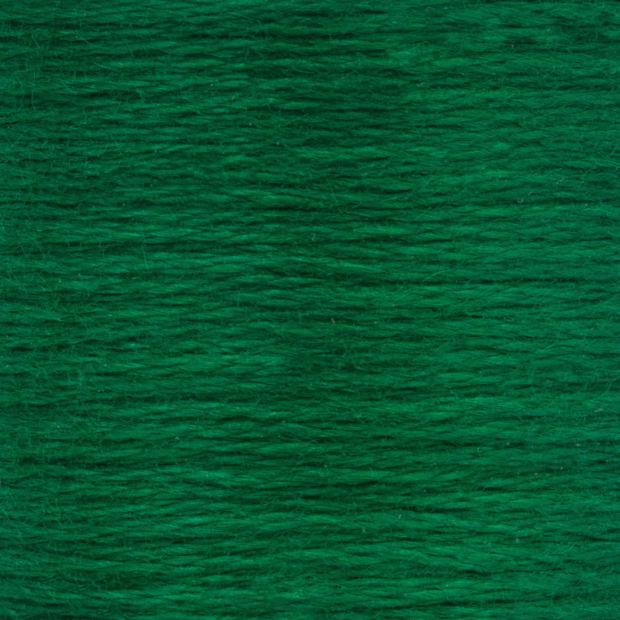 Anchor Embroidery Floss in Emerald Vy Dk