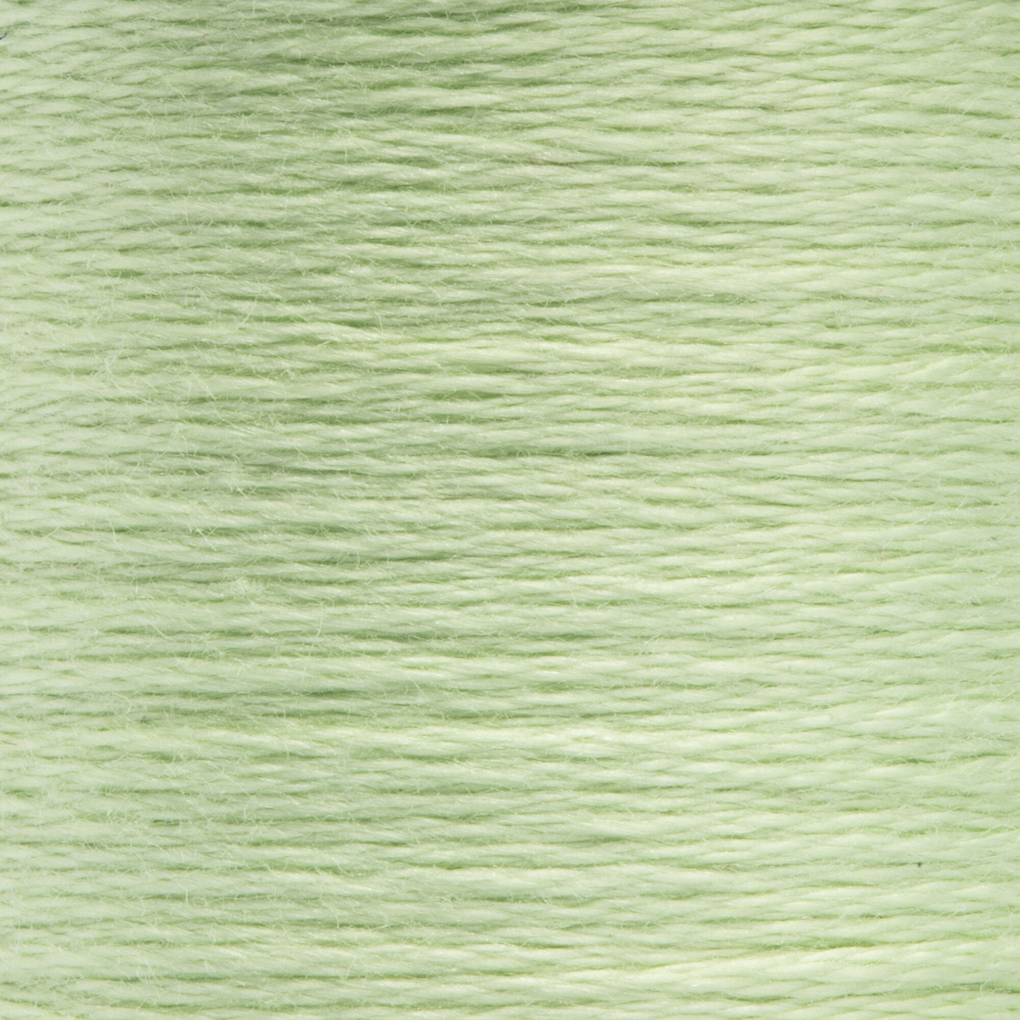 Anchor Embroidery Floss in Grass Green Vy Lt