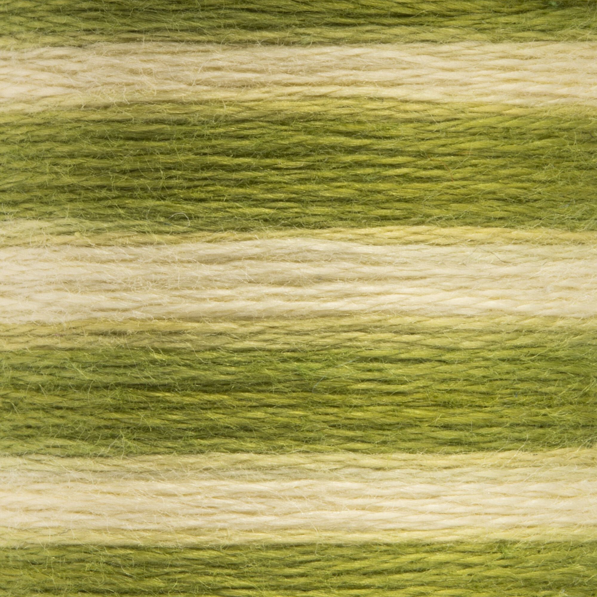 Anchor Embroidery Floss in Celery Seed