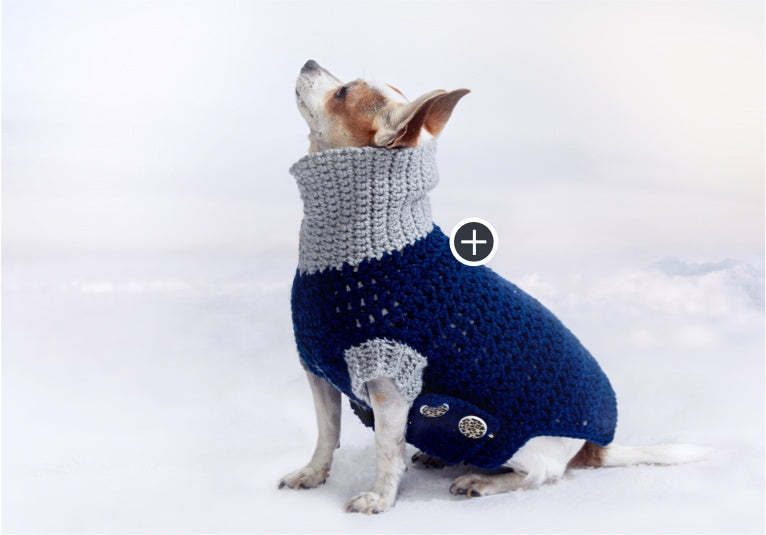 Easy Cowl Neck Crochet Dog Coat