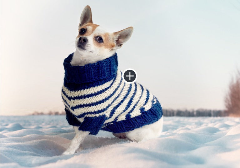 Easy Striped Knit Dog Coat