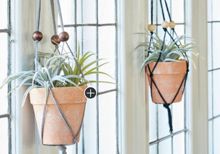 Easy Macrame Plant Hanger