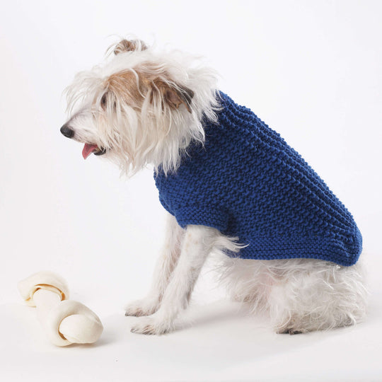 10+ Dog Coat Free Knitting Pattern  Dog coat pattern, Dog sweater pattern,  Knitting patterns free dog
