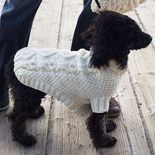 12 Free Dog Sweater Knitting Patterns