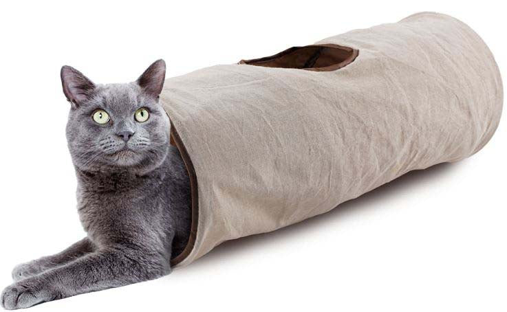 ALL FOR PAWS ClassicTunel pentru pisici Crinkle,din pluş 62x25,5cm