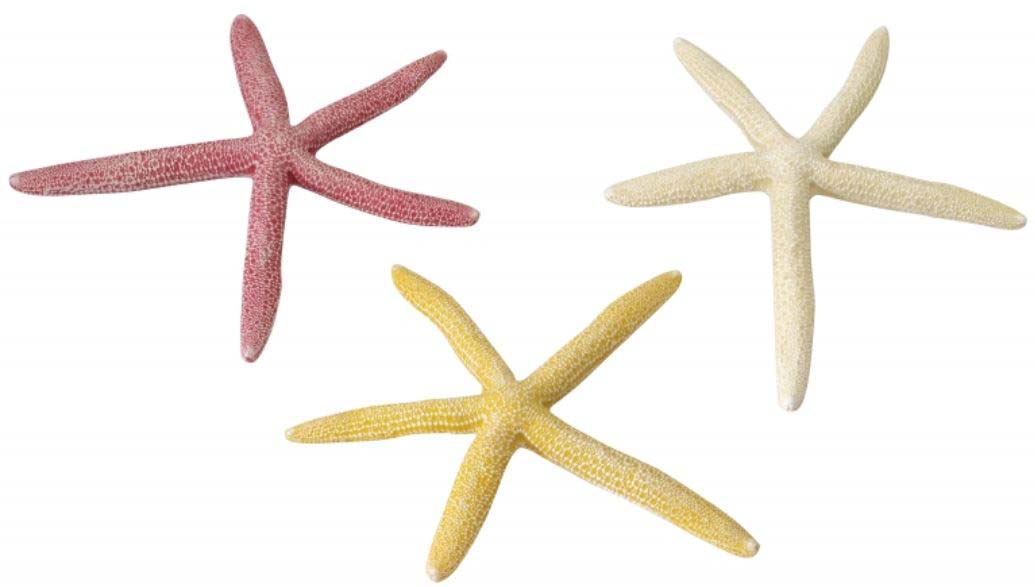 AQUA D\'ELLA Decoraţiune pentru acvarii Starfish 18,5cm, diverse culori