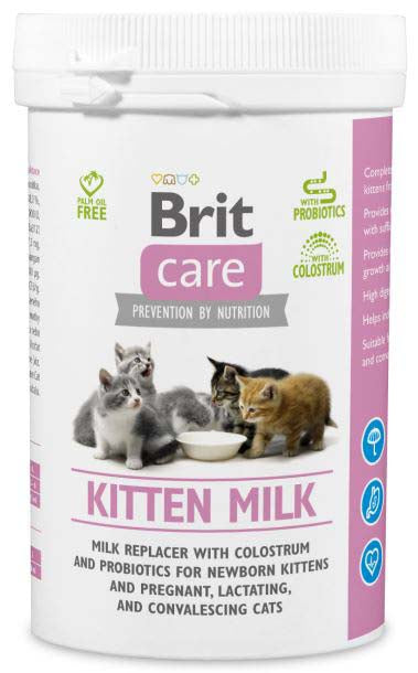 Brit care lapte pentru pisicuţe 250g