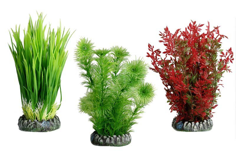 FLAMINGO Plantă din plastic pentru acvariu Sri Lanka, diferite modele, 7,8cm