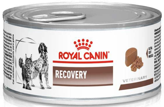 Royal canin vhn recovery conservă pentru câini şi pisici 195g