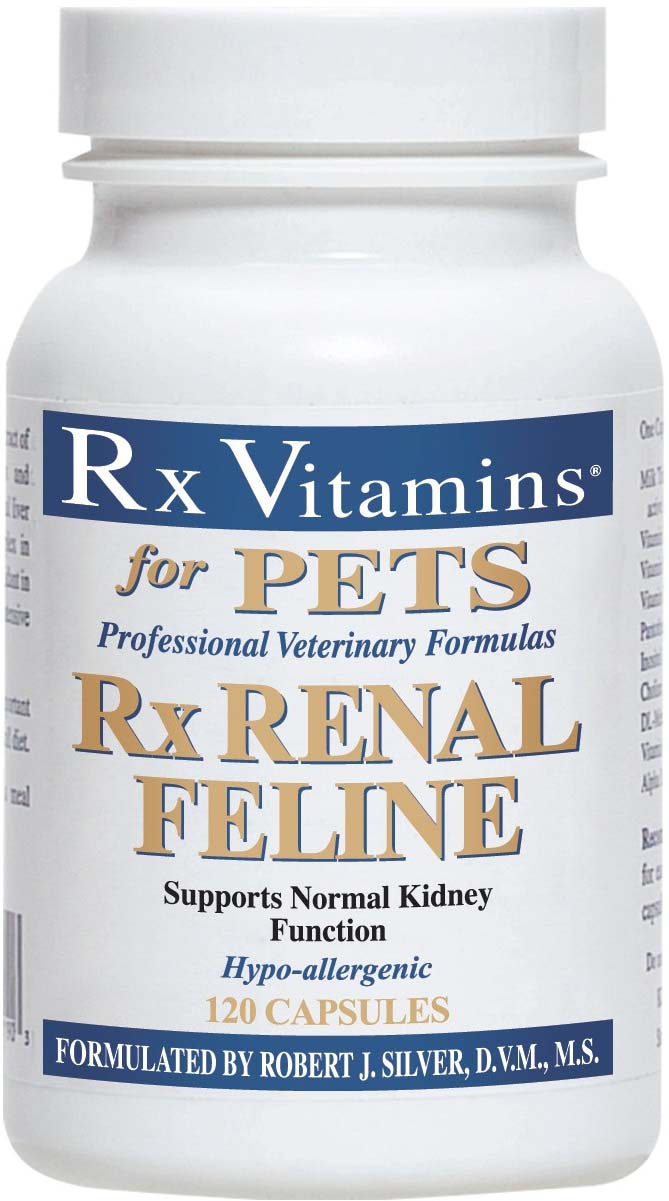 Rx vitamins rx renal feline supliment nutriţional, 120 comprimate